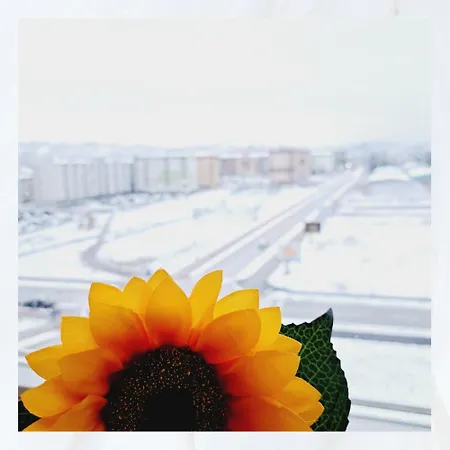 Apartman Apolo Istocno Sarajevo 아파트 *
